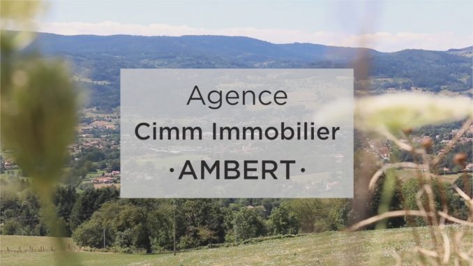 agent immobilier
