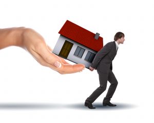 agent immobilier, bâtiment, professionnel